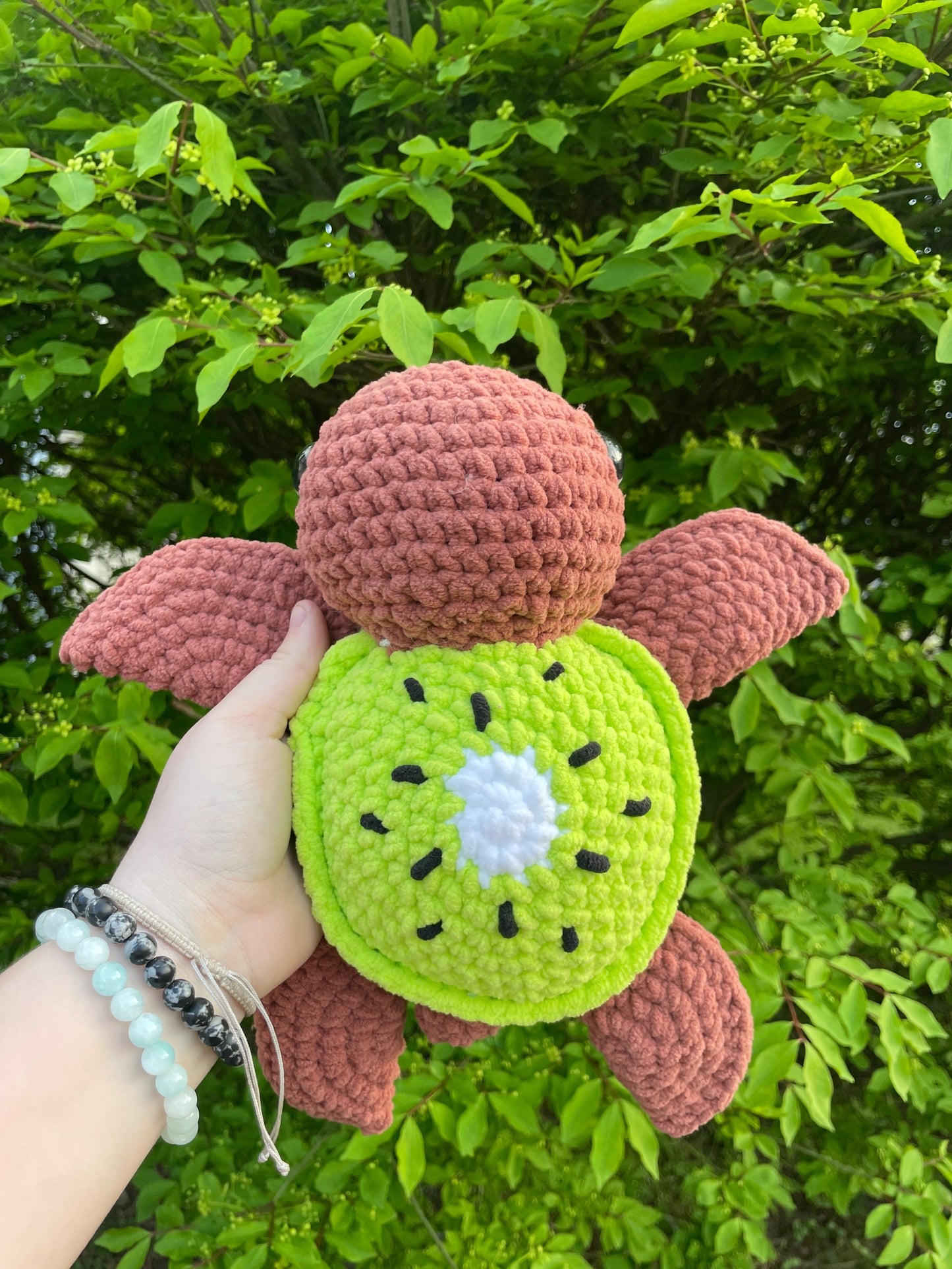 Kiwi turtle