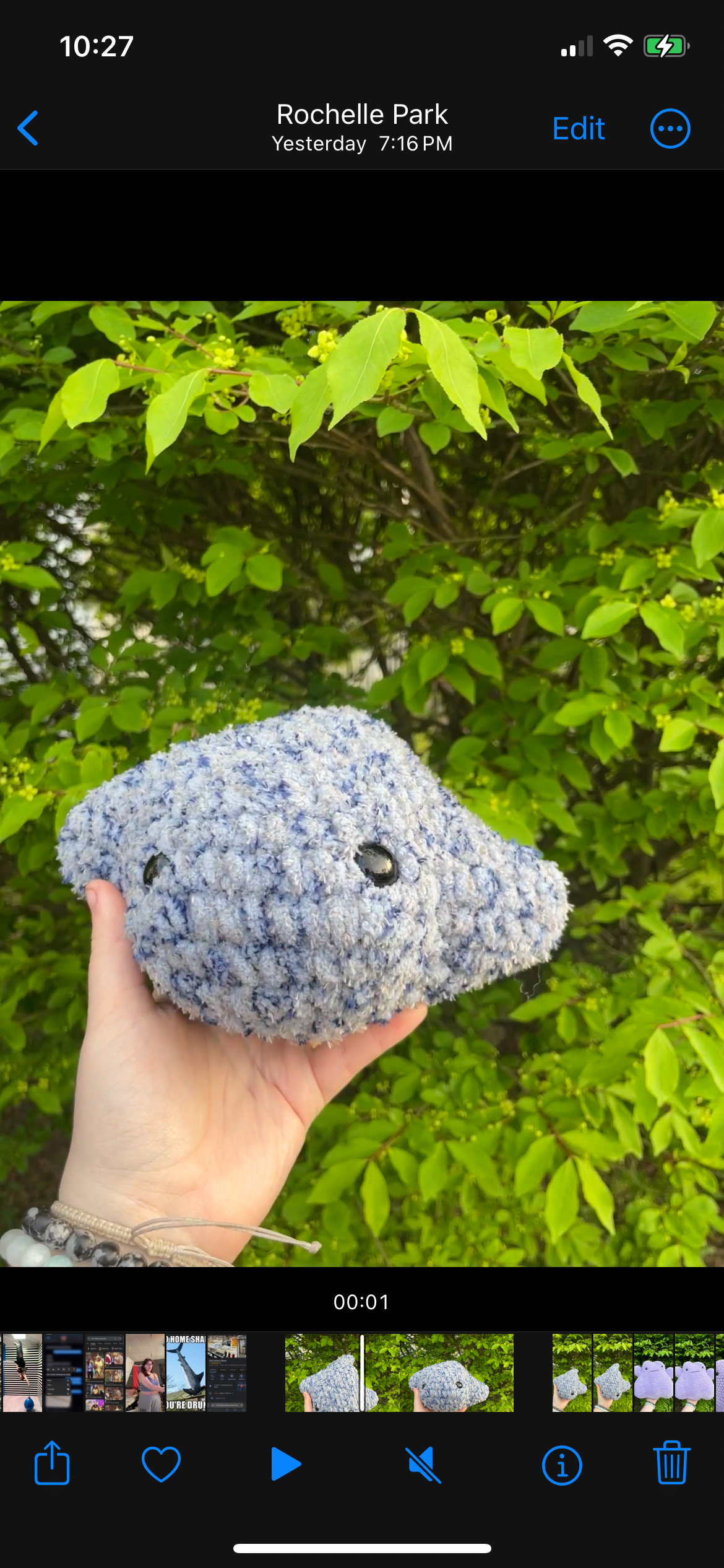 Blue speckle Stingray