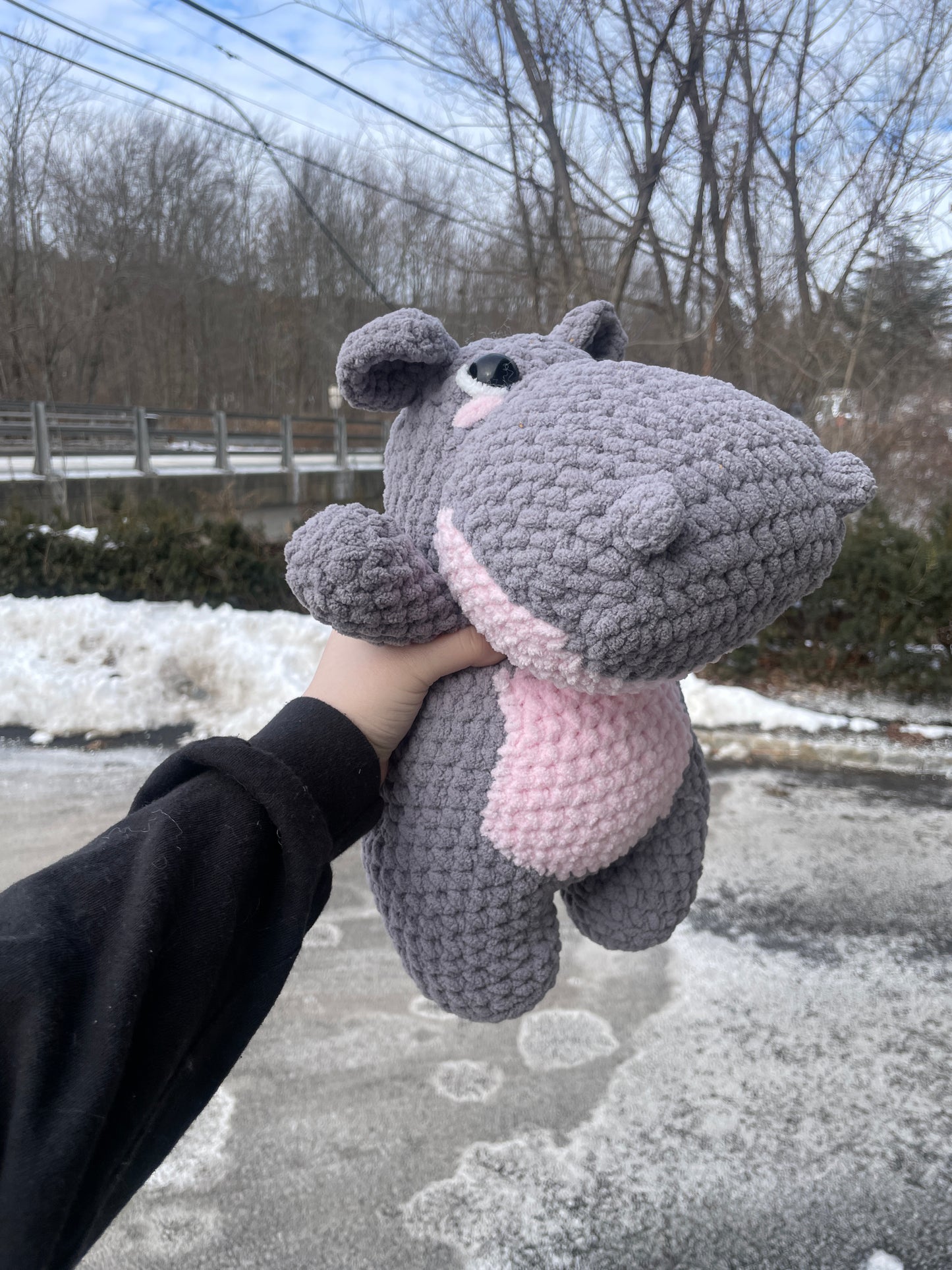 Henry the Hippo