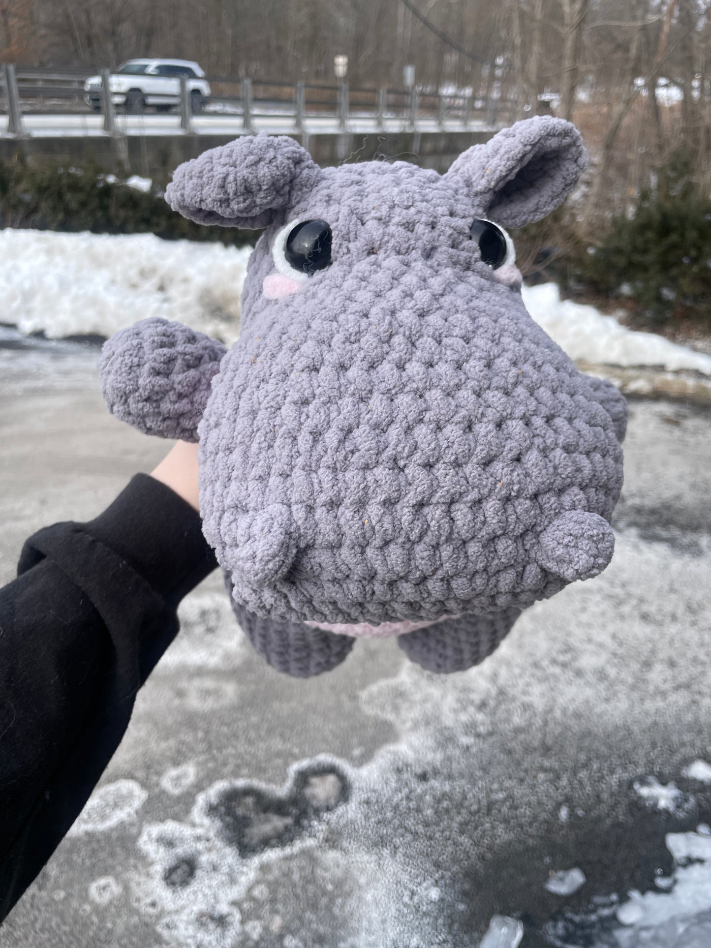 Henry the Hippo