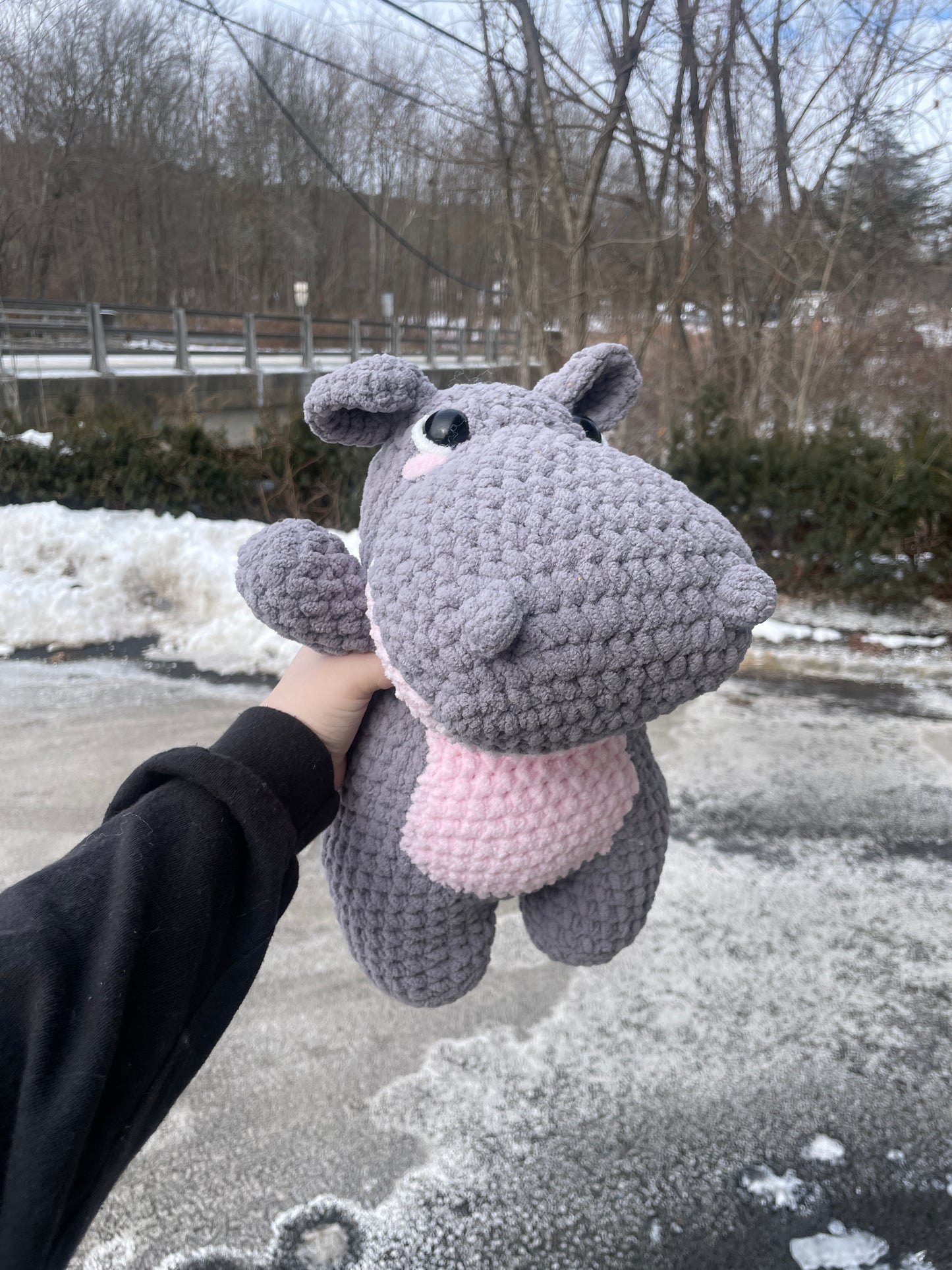 Henry the Hippo