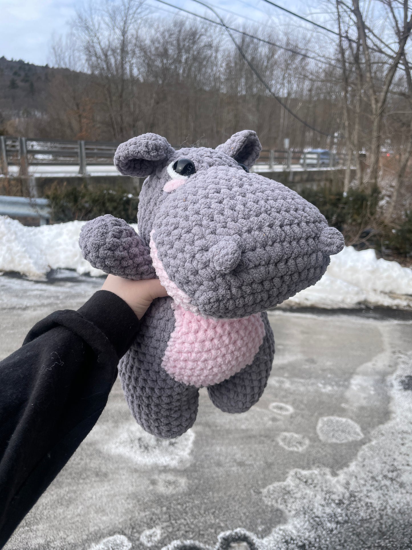 Henry the Hippo